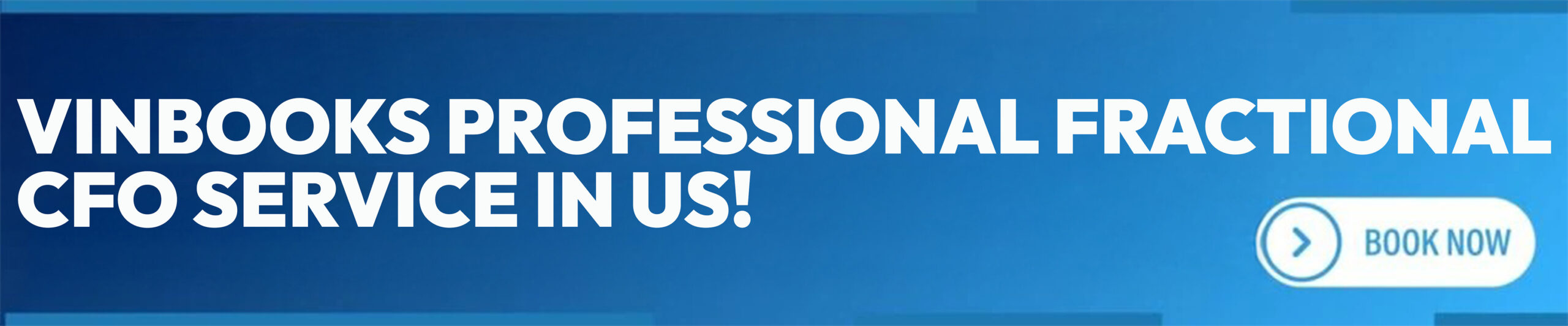 Professional Fractional CFO Service